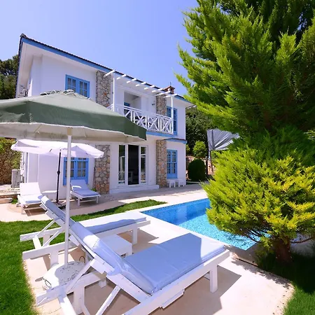 Koknar Kaş