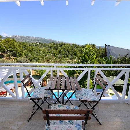 Koknar Kaş